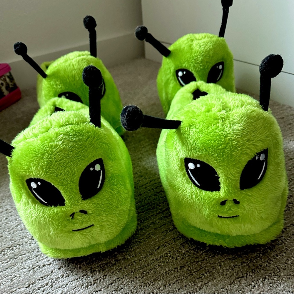 Matching Set of Alien Slippers!